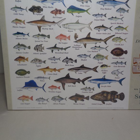 FISHES OF THE SOUTHEAST ATLANTIC COAST New 550 Piece Jigsaw Puzzle - Picture 6 of 12